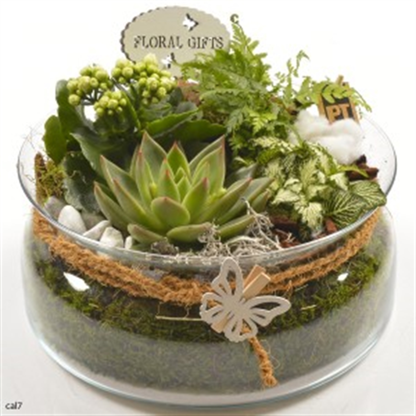 Planten arrangement binnen