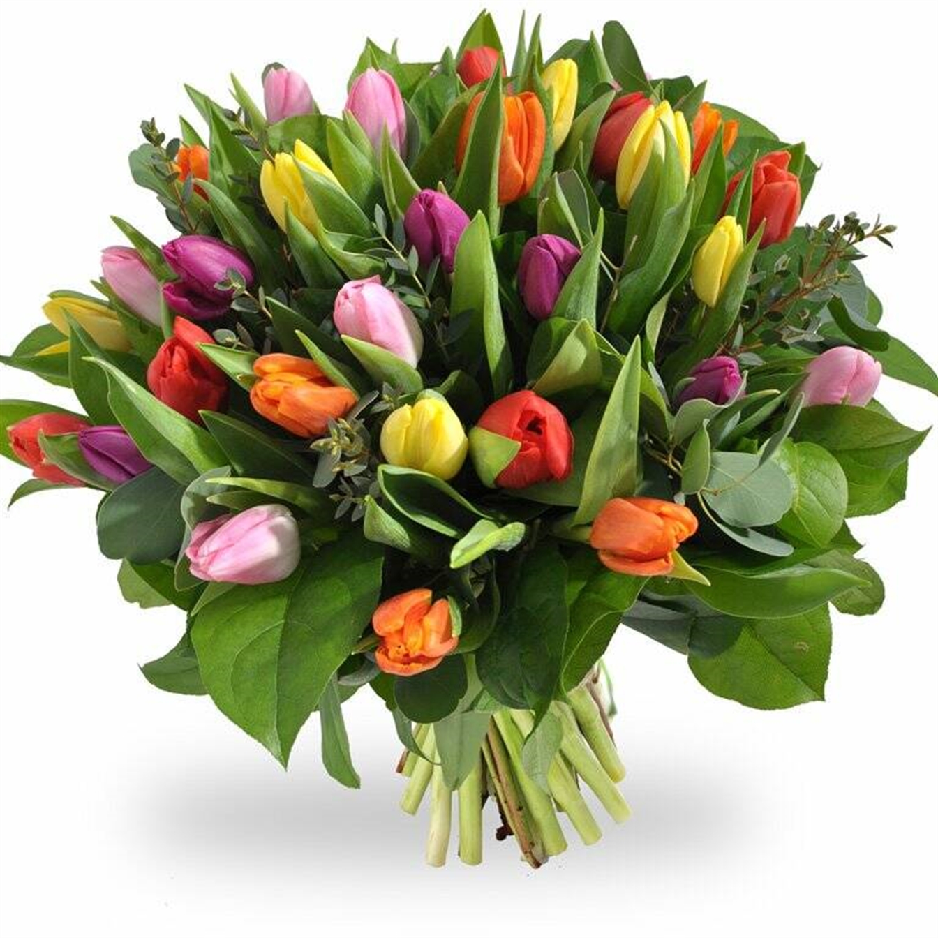 Tulpenboeket